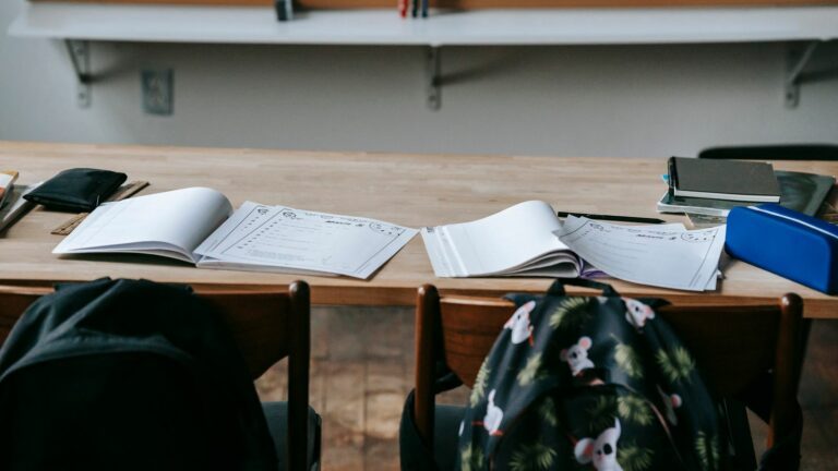 Valérie Glatigny appelle les élèves à retourner à l’école et dénonce une possible « instrumentalisation » du mouvement étudiant – La Libre Belgique
